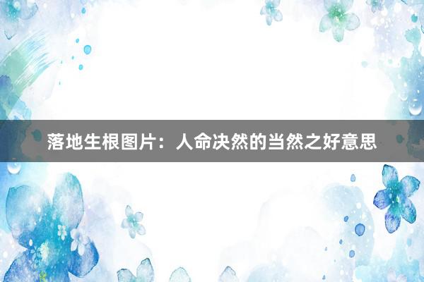 落地生根图片：人命决然的当然之好意思