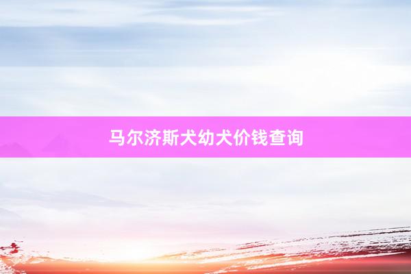 马尔济斯犬幼犬价钱查询