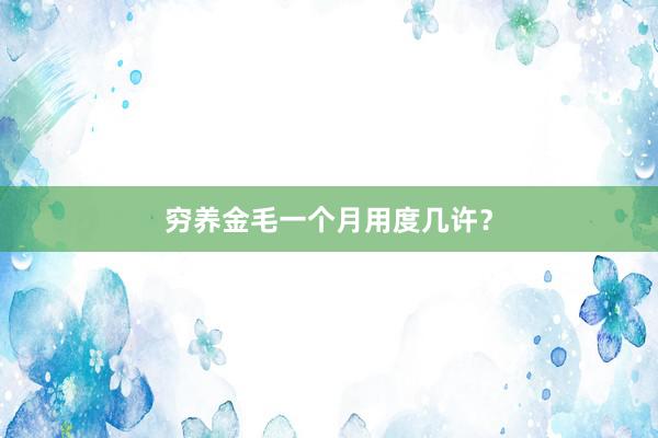 穷养金毛一个月用度几许？