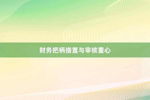 财务把柄措置与审核重心