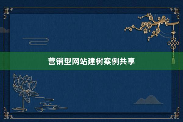营销型网站建树案例共享